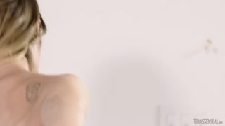 Watch Casey Kisses Gives Ruckus a Tattooed Blowjob - top porn in 4K on FULL-PORN.COM