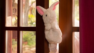 Watch Teen Abby Cross Gets a Magic Trick Fucking - top porn in 4K on FULL-PORN.COM