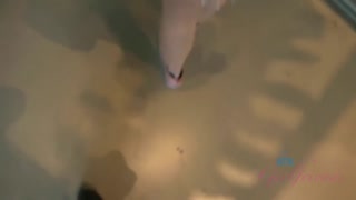 Assista Paris White Outdoor Shower Pissing - Shaved Blonde Exhibitionist - top porno em 4K no FULL-PORN.COM